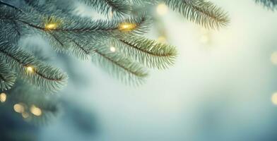 Christmas lights background photo