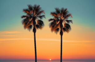 Abstract palm Heaven background photo