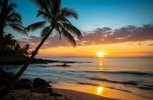 Abstract palm Heaven background photo