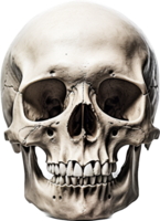 Skull png with AI generated.