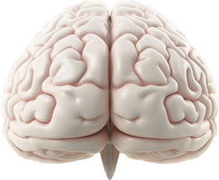 Brain with . png