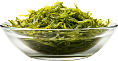 Seaweed png with AI generated.