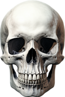 Skull png with AI generated.