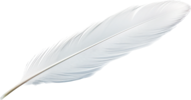 Feather png with AI generated.