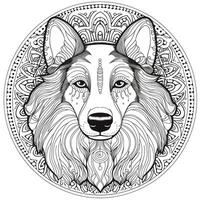 mandalas para colorear de perros foto