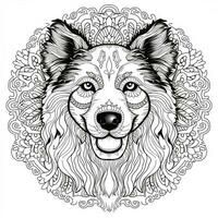 mandalas para colorear de perros foto