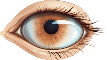 Auge png mit ai generiert.