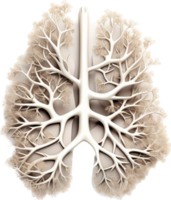 Lung png with AI generated.