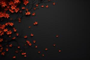 Autumn leaves background photo