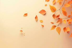 Autumn leaves background photo