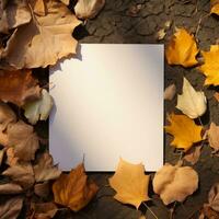 Autumn leaves background photo