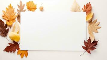 Autumn leaves background photo