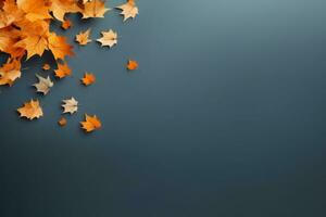 Autumn leaves background photo