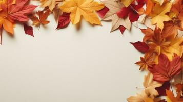 Autumn leaves background photo