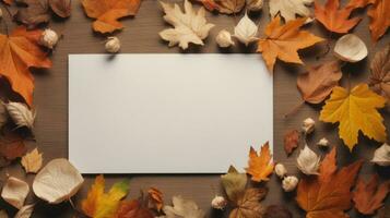 Autumn leaves background photo