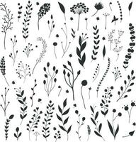 Floral and plant collection with various hand drawn flower silhouettes. Botanical elements isolated on white background. Flower bed. Botanical set vector