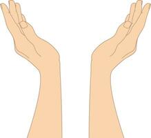 Hand drawn cupped hands isolated on white background. Raised hands. Vector illustration