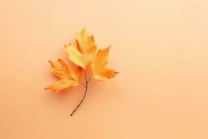 Autumn leaves background photo