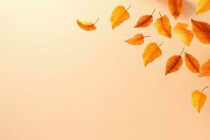 Autumn leaves background photo