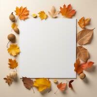 Autumn leaves background photo