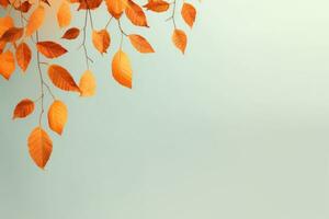 Autumn leaves background photo