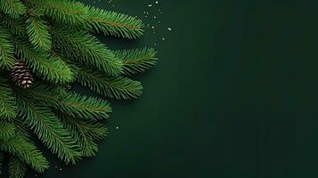 Christmas green background with fir branches photo