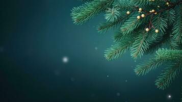 Christmas green background with fir branches photo