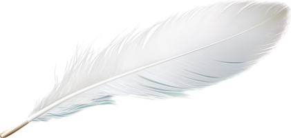 Feather png with AI generated.