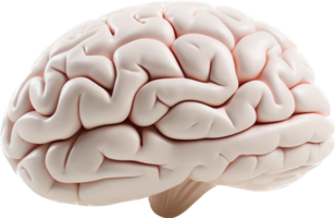 Brain png with AI generated.