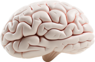 Brain png with AI generated.