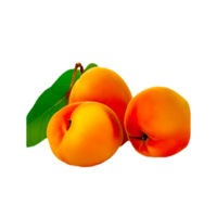 Peach Apricot Fruit Transparency, peach, natural Foods, dried Fruit png Generative Ai