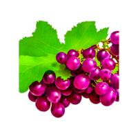 A Bunch Of Red Grapes Generative Ai png