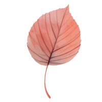 watercolor autumn leaf, ai generative png