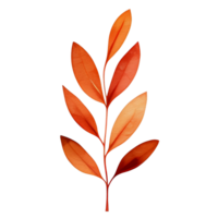 Aquarell Herbst Blatt, ai generativ png