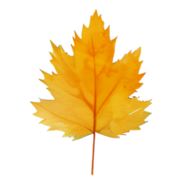 Aquarell Herbst Blatt, ai generativ png