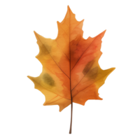 watercolor autumn leaf, ai generative png