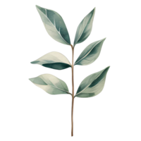 aguarela natural folha, ai generativo png