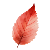 watercolor autumn leaf, ai generative png