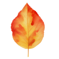 watercolor autumn leaf, ai generative png