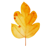 Aquarell Herbst Blatt, ai generativ png