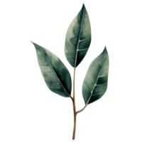 acuarela natural hoja, ai generativo png