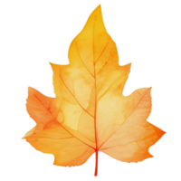 watercolor autumn leaf, ai generative png