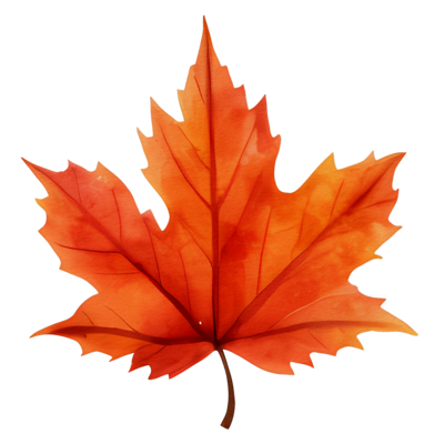 Autumn Leaf PNGs for Free Download