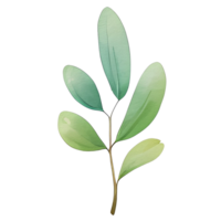 acuarela natural hoja, ai generativo png