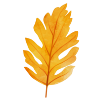 Aquarell Herbst Blatt, ai generativ png