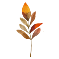 Aquarell Herbst Blatt, ai generativ png