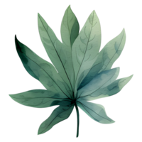 watercolor natural leaf, ai generative png