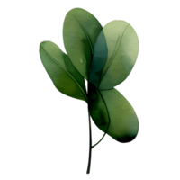 watercolor natural leaf, ai generative png