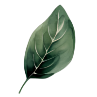 aguarela natural folha, ai generativo png
