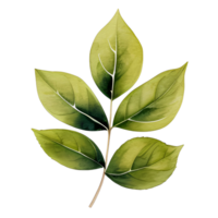 acuarela natural hoja, ai generativo png